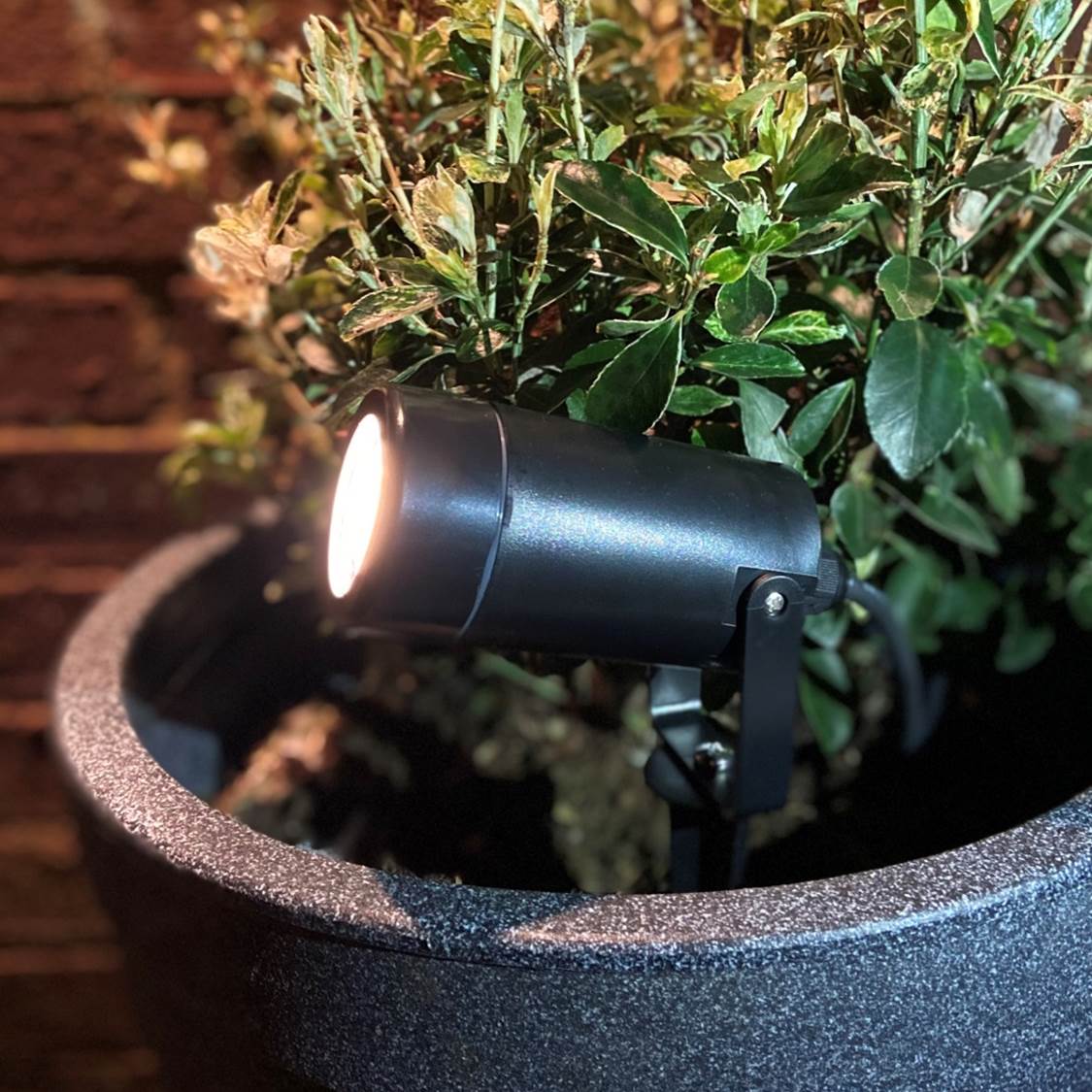 LED Outdoor Spike light