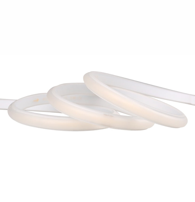 Extra Long Outdoor COB Strip IP67