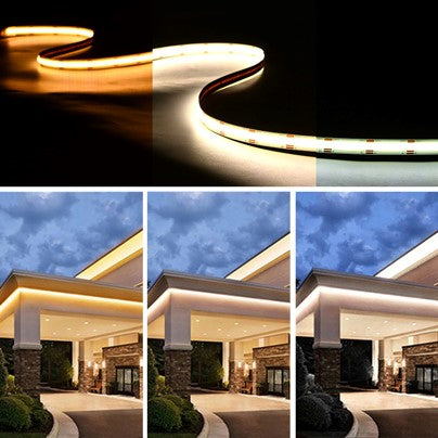 24V Professional COB Spotless CCT LED Strip Light, 14W/m, 2700~6500K CCT Tuneable , 5 Metre Reel