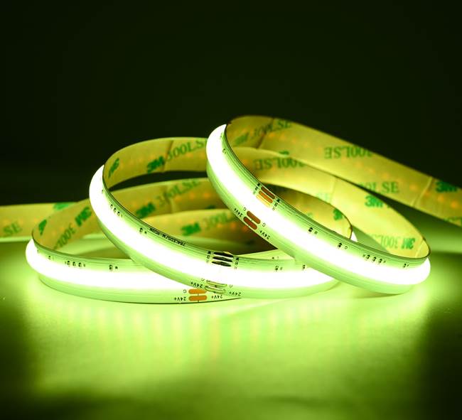 LED COB RGBW Strip 5m IP20