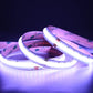 LED COB RGBW Strip 5m IP20